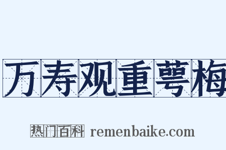 万寿观重萼梅是什么意思的图片